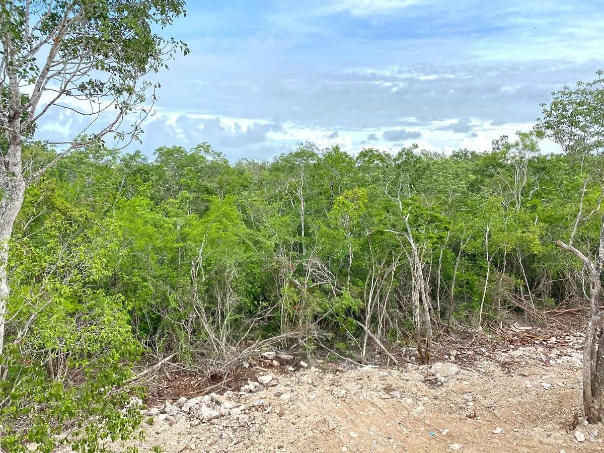 Relax Tulum Family Friendly Apartment In The In The Jungle - Pools & Cenotes 0*,