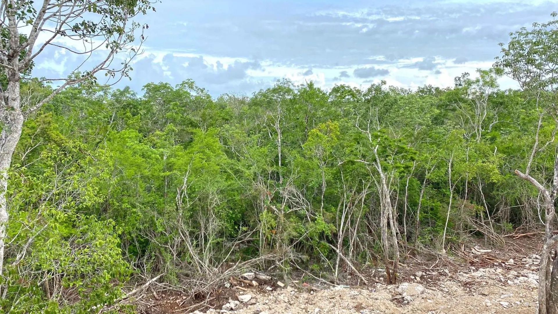 Relax Tulum Family Friendly Apartment In The In The Jungle - Pools & Cenotes Mexiko